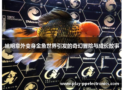 姚明意外变身金鱼世界引发的奇幻冒险与成长故事